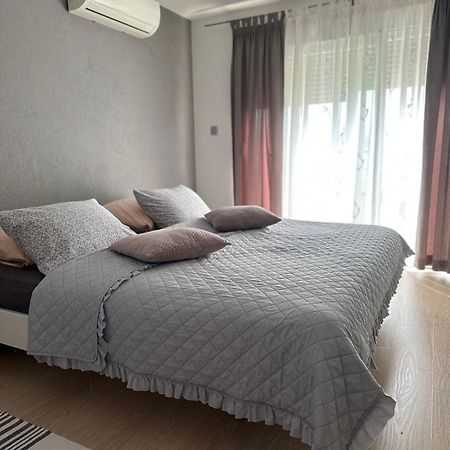 Vila Damir Gradac  Kültér fotó