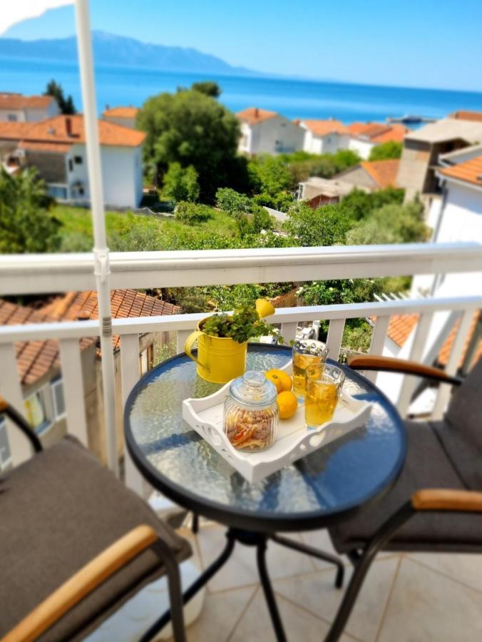 Vila Damir Gradac  Kültér fotó